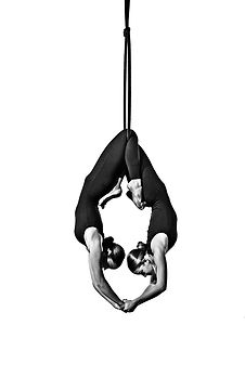 TCDA Duo Lyra Aerial