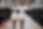 ChatGPT ImageV3.png
