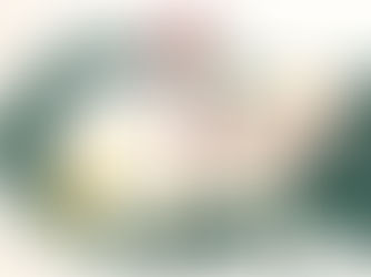 Newsletter 24th April 2026