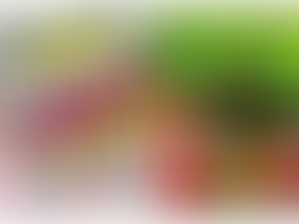 Newsletter 14th March 2025