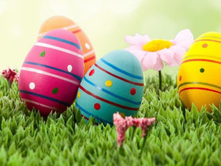 Newsletter 27th March 2026