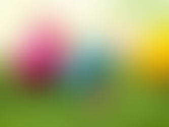 Newsletter 27th March 2026