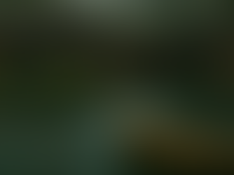 Newsletter 16th January 2026