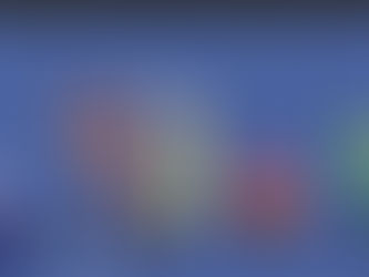 Newsletter 7th February 2025