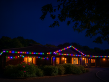 Newsletter 28th November 2025