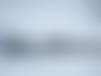 Newsletter 21st November 2025