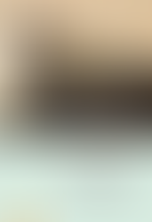 "Wakamatsu Jôtarô. Gedichte im Zeichen der Atomkatastrophe" (Christian Chappelow, 2022)