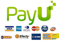 PayU.png