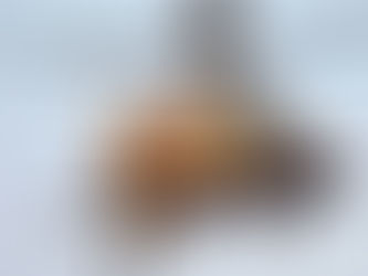 India has received it's last batch of Apache helicopters