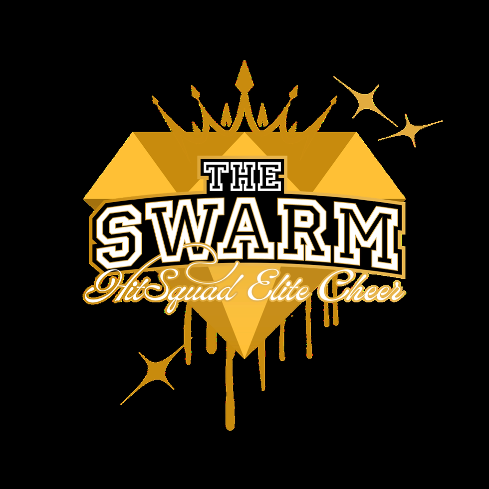 HSE Swarm Tryouts
