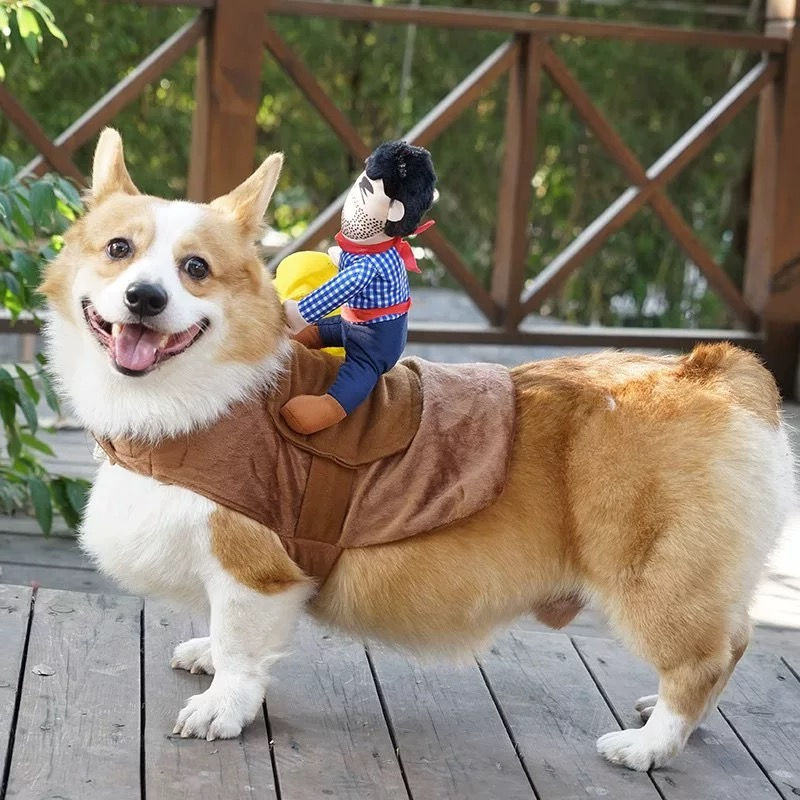Thumbnail: Dogs Shirt