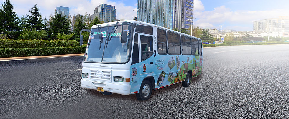 FRANJA TRANSPORTE ESPECIAL.jpg
