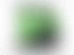 Met een nat-droogmachine maakt u de vloeren intensief schoon