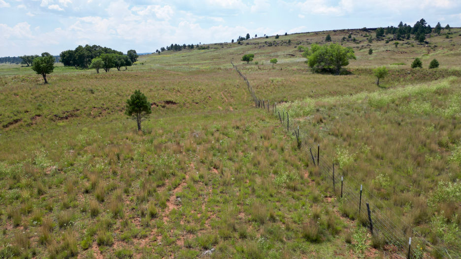 Ranch for sale New Mexico