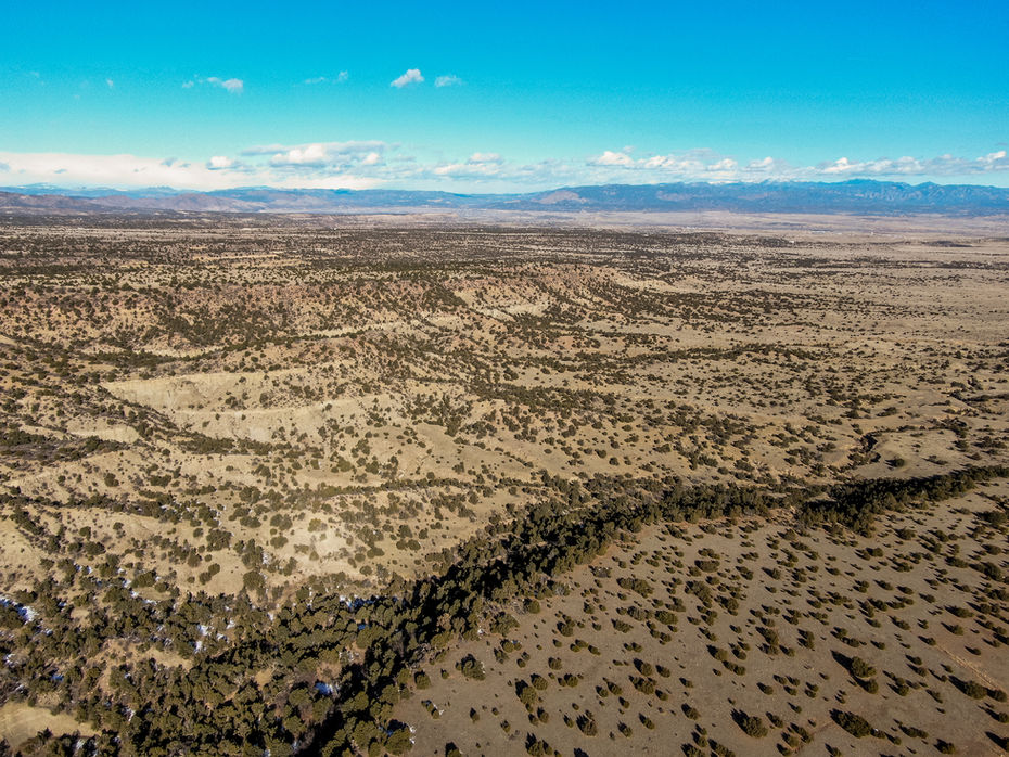 Five Gulley Ranch