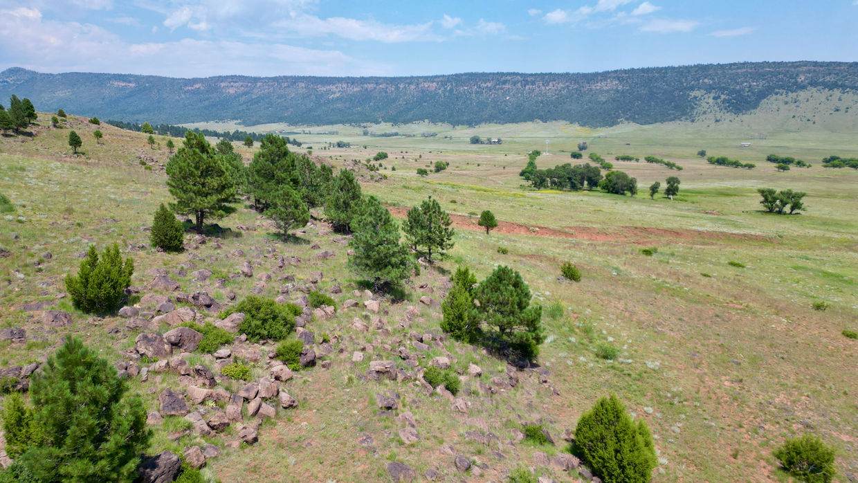 Land for sale New Mexico