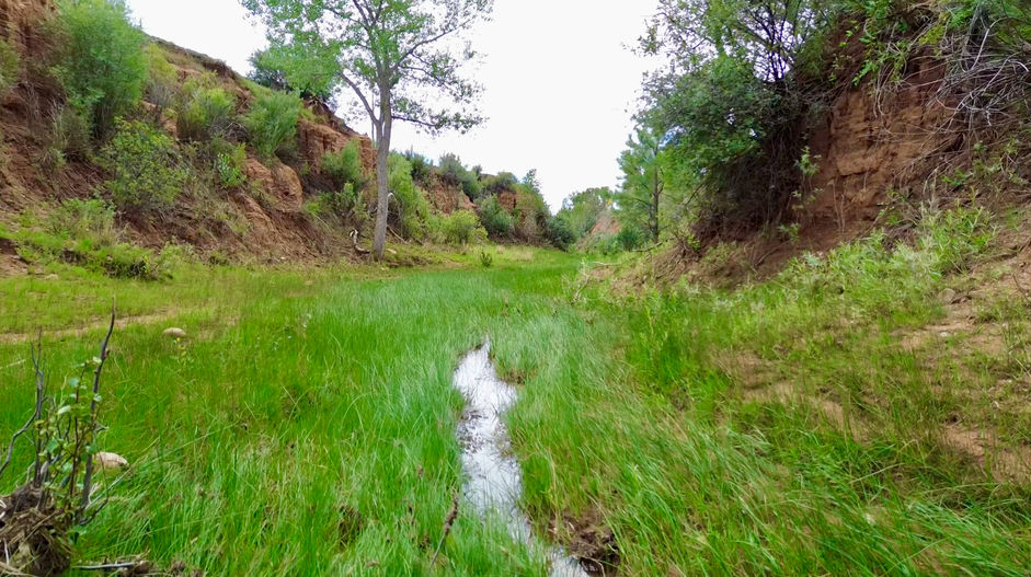 New Mexico Land For Sale
