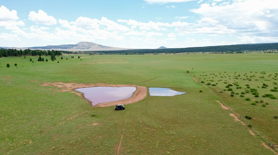 New Mexico Land For Sale