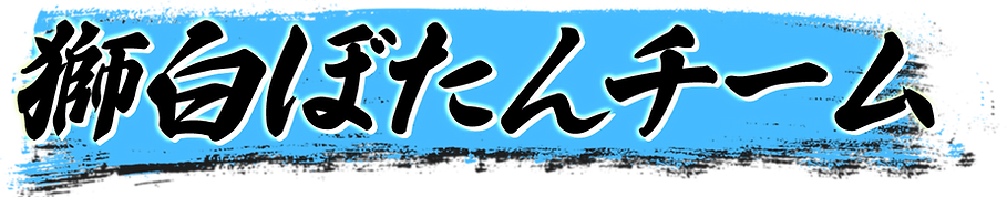 ぼたんチーム名.png