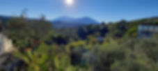Valley, mountains, olive trees, prickly pear
