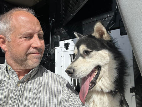 I need a little help. Just a little.