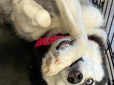 GOOD MORNING!! Jenni D here to say...