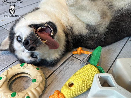 Check out this cuteness!!!