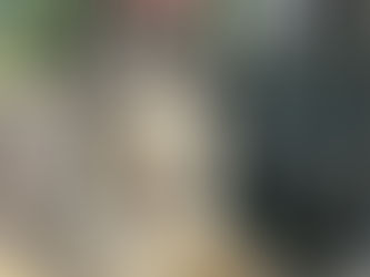 I’d drop a trigger warning but every day in rescue is a trigger warning.