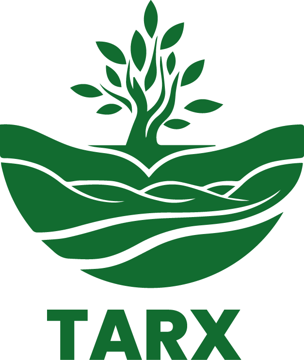 Yazarın fotoğrafı: TarcxTacEditor