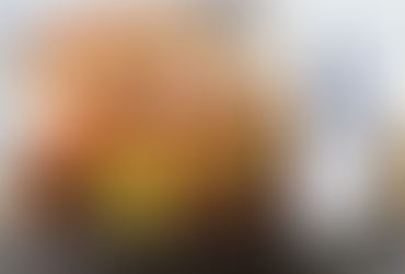 Skillet sun-dried tomatoes and chicken thighs