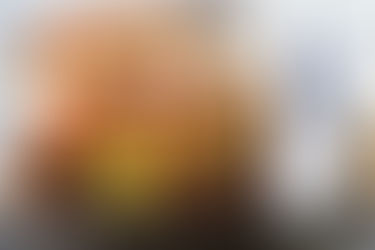 Skillet sun-dried tomatoes and chicken thighs