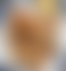 Pan Fried Yellowtail