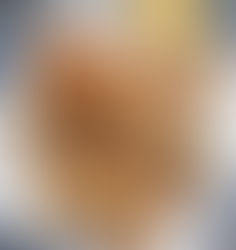 Pan Fried Yellowtail