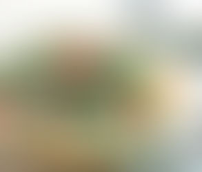 Green Beans with feta and tomatoes