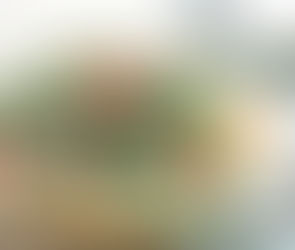 Green Beans with feta and tomatoes