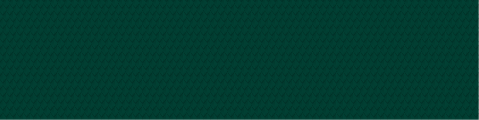 scale pattern - dark green.png