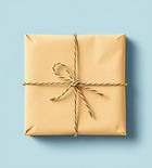 brown paper package tied up with string.jpg