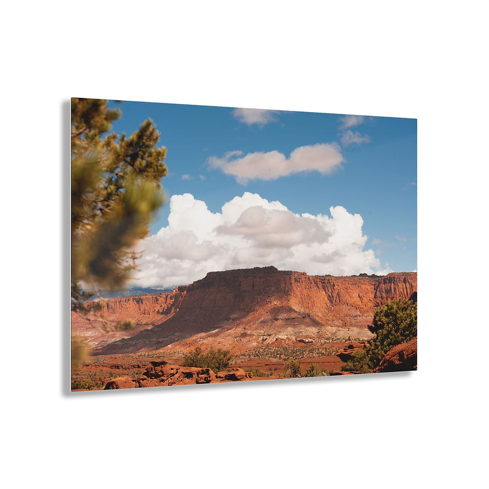 Miniatura: Capitol Reef Fine Art Acrylic Print