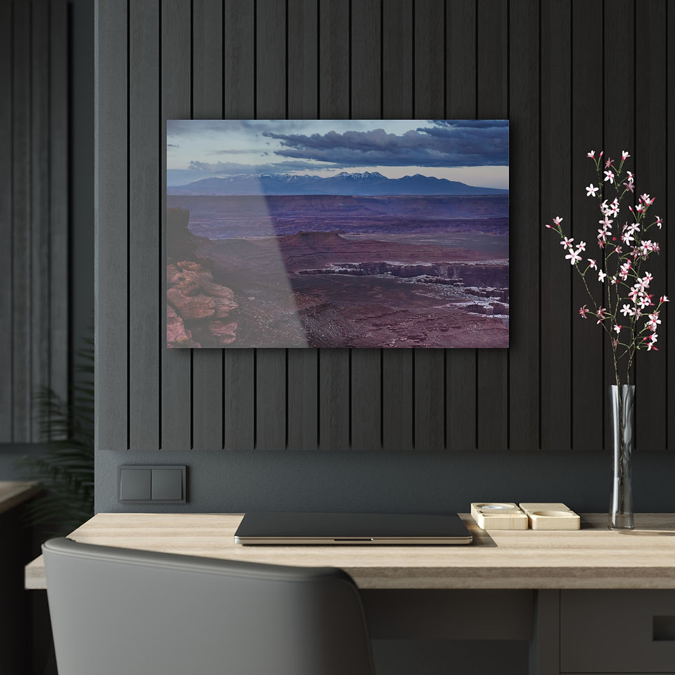 Miniatura: Canyonlands Fine Art Acrylic Print