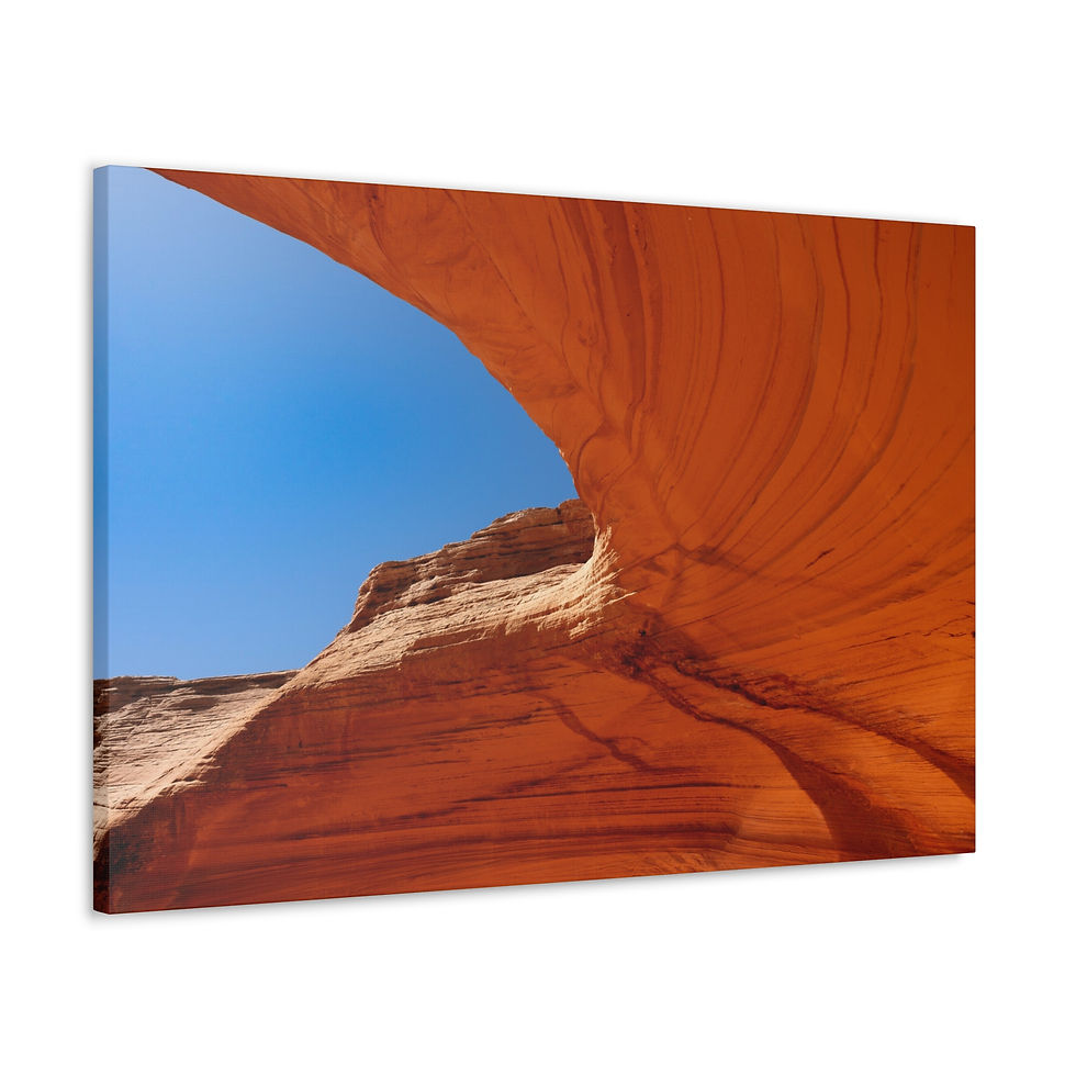 Miniatura: Page fine art canvas 