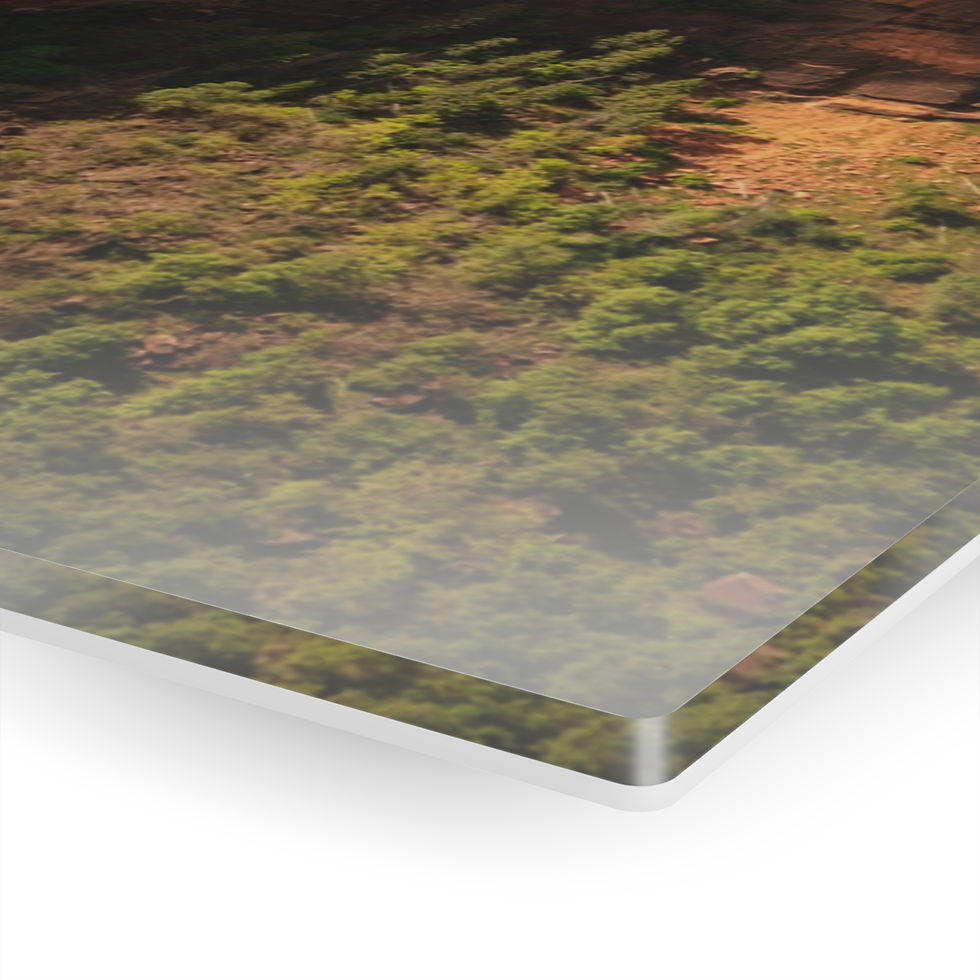 Miniatura: Zion Fine Art Acrylic Print