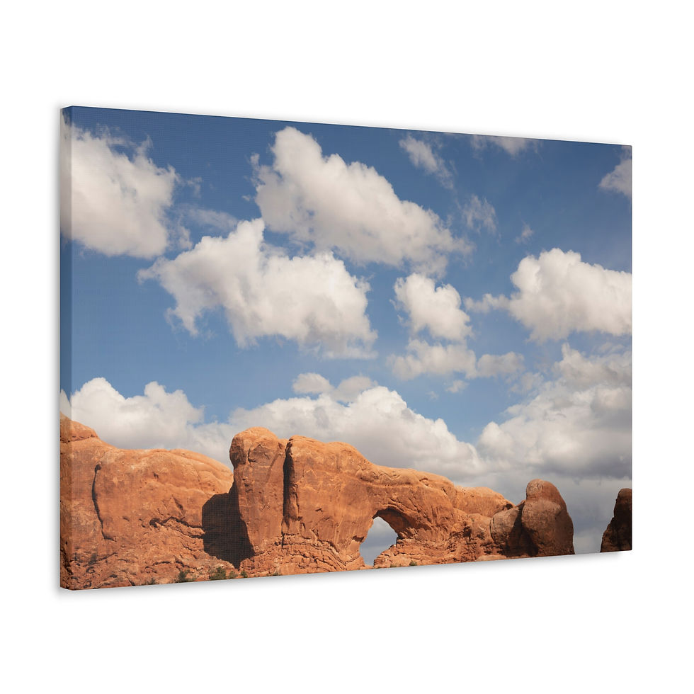 Miniatura: Arches fine art canvas 