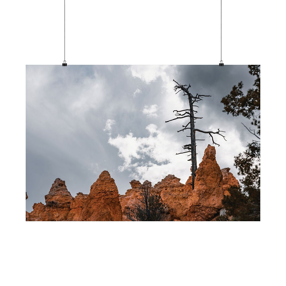 Miniatura: Bryce Canyon fine art print