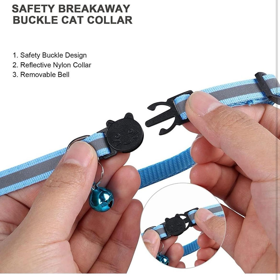 Thumbnail: X-Small Breakaway Cat Collar with Bell