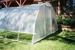 Side Roll Up PVC Greenhouse