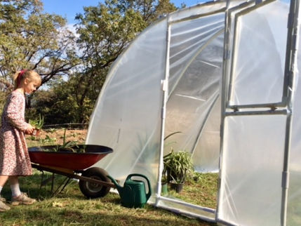 A girl moving plants into the PVC arched greenhouse from Circo Innovations