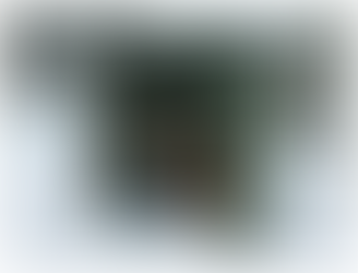 A man putting fire wood in a PVC shed with a camo tarp covering the frame 