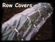 RowCover