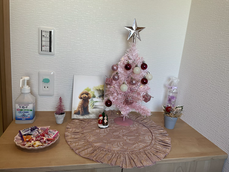 クリスマス仕様🎄🎅