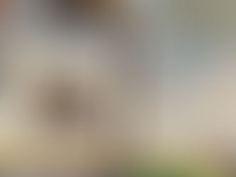 7月8月は入会金無料!&ミニコンサートのお知らせ